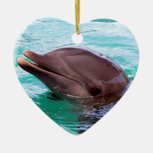 Dolphin Design Ornament