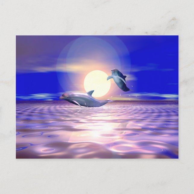 Dolphin Diversion - Two Dolphins Jumping Postcard (Front)