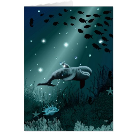 Dolphin Dream Cards (Front)
