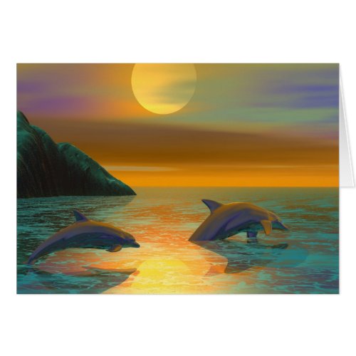 Dolphin Dreams