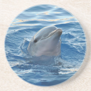 Dolphin Drink Coaster