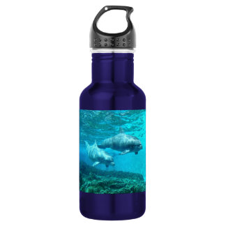 Dolphin Duo Water Bottle