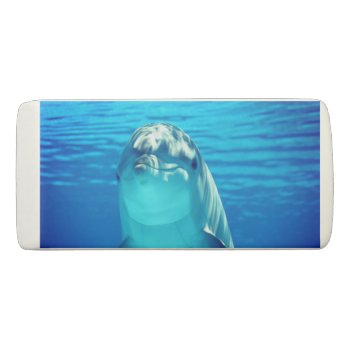 Dolphin Eraser by MarblesPictures at Zazzle