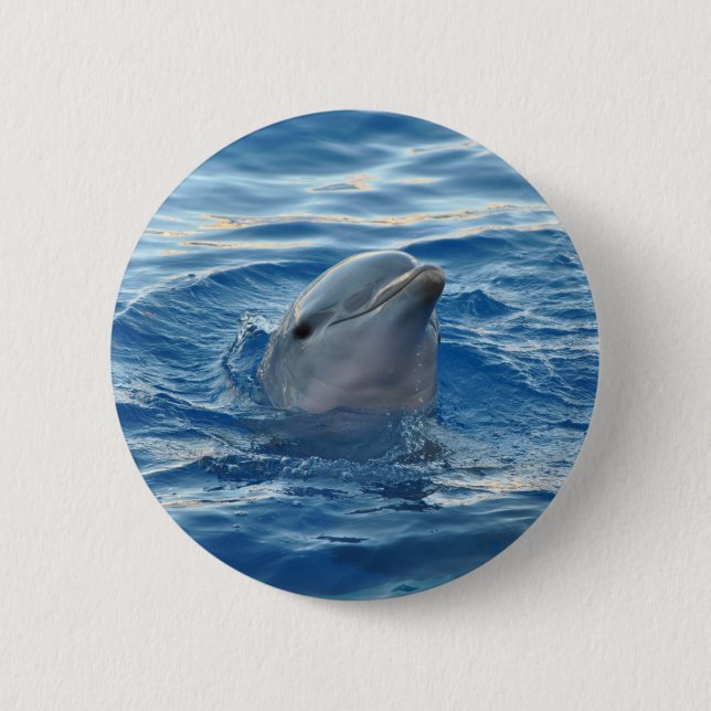 Dolphin Face in Ocean Cute Photo Button (Front)