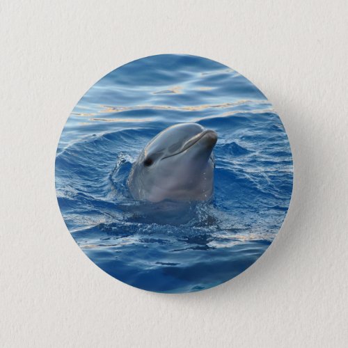Dolphin Face in Ocean Cute Photo Button