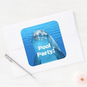 Dolphin Face Underwater Pool Party Birthday Square Sticker