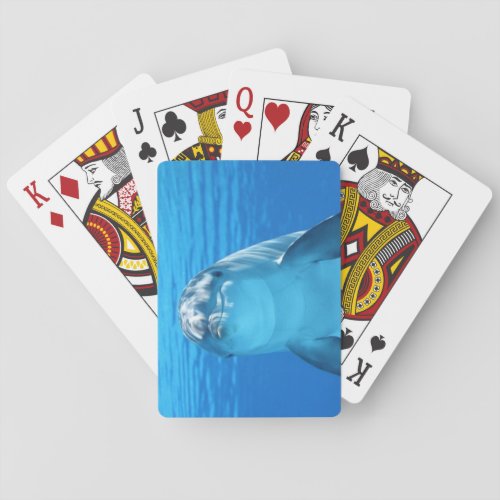 Dolphin face up close playing cards