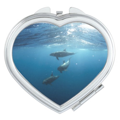 Dolphin Family Mirror For Makeup