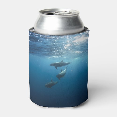 Dolphin Family Underwater Can Cooler
