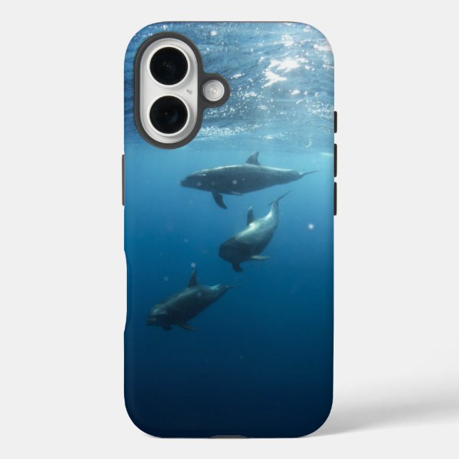 Dolphin Family Underwater Case-Mate iPhone Case (Back)