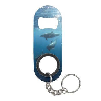 Dolphin Family Underwater Keychain Bottle Opener by beachcafe at Zazzle