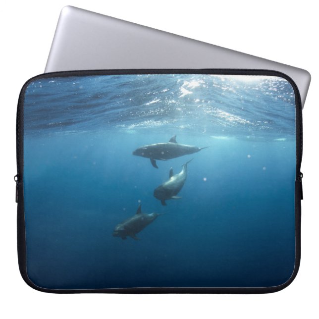 Dolphin Family Underwater Laptop Sleeve (Front)