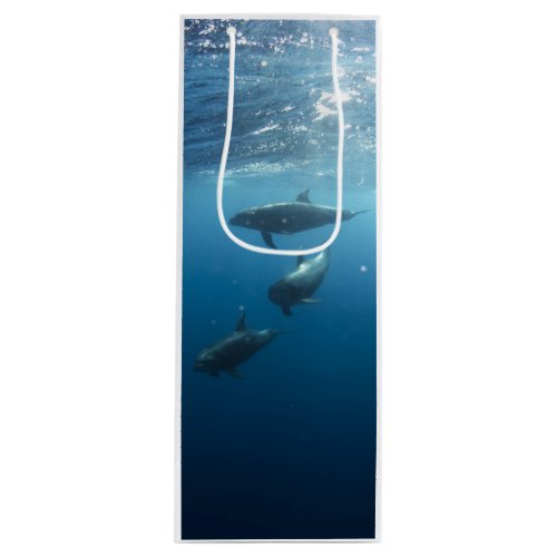 Dolphin Family Underwater Wine Gift Bag
