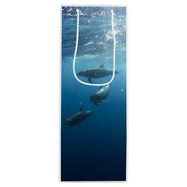 Dolphin Family Underwater Wine Gift Bag (Front)