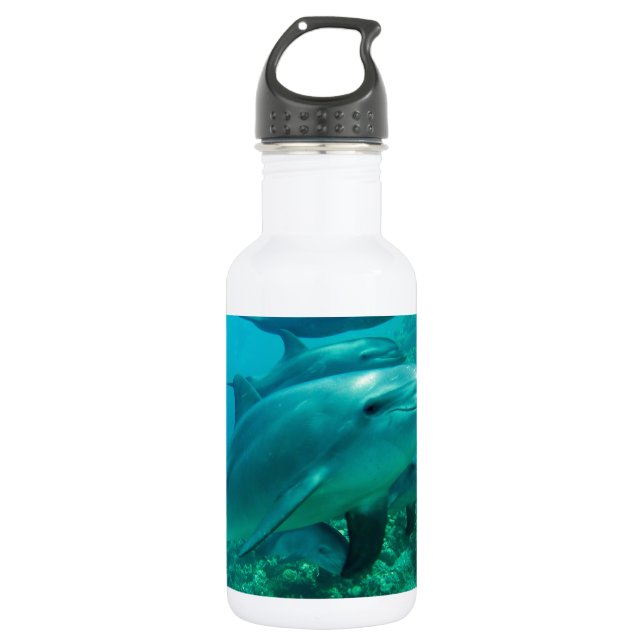dolphin fish marine ocean under water swim bottle (Front)