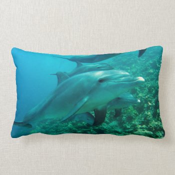 Dolphin Fish Marine Ocean Under Water Swim Lumbar Pillow by Honeysuckle_Sweet at Zazzle