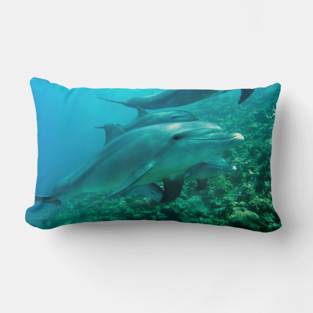 dolphin fish marine ocean under water swim lumbar pillow (Front)