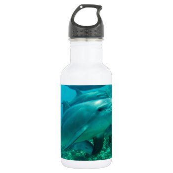 Dolphin Fish Marine Ocean Under Water Swim Water Bottle by Honeysuckle_Sweet at Zazzle