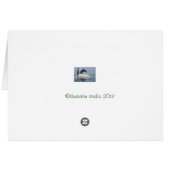 dolphin fish playing -blank card (Back Horizontal)