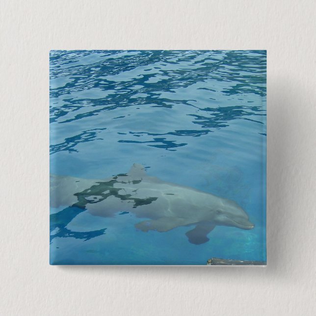 Dolphin Gliding Under Blue Water Pinback Button (Front)