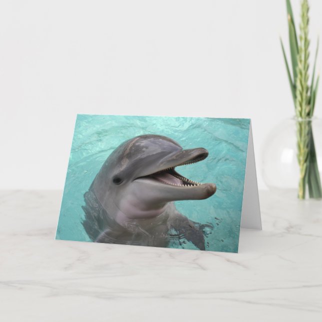 Dolphin Greeting Card (Front)