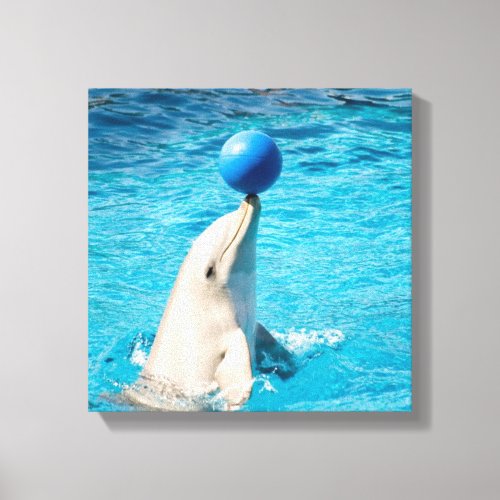 Dolphin having a ball canvas print