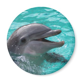 Dolphin head in aquamarine water 2 inch round magnet