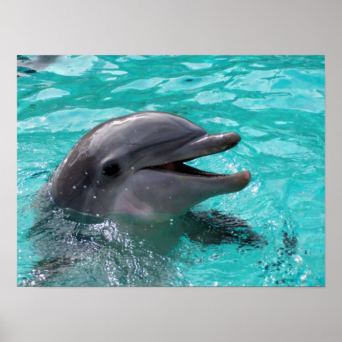 Dolphin head in aquamarine water print