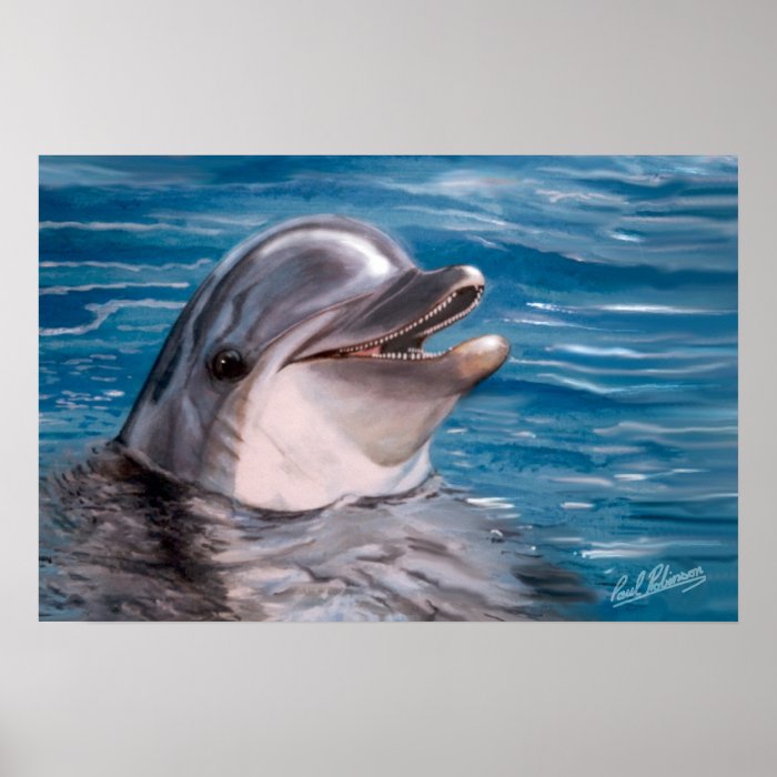 DOLPHIN HEAD POSTER