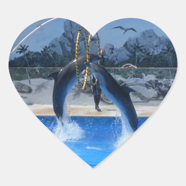 Dolphin Heart Sticker (Front)