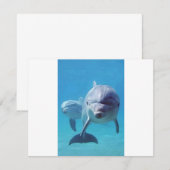 dolphin II (Front/Back)