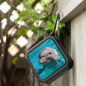 Dolphin in Blue Water Photo Bluetooth Speaker (Inisitu)