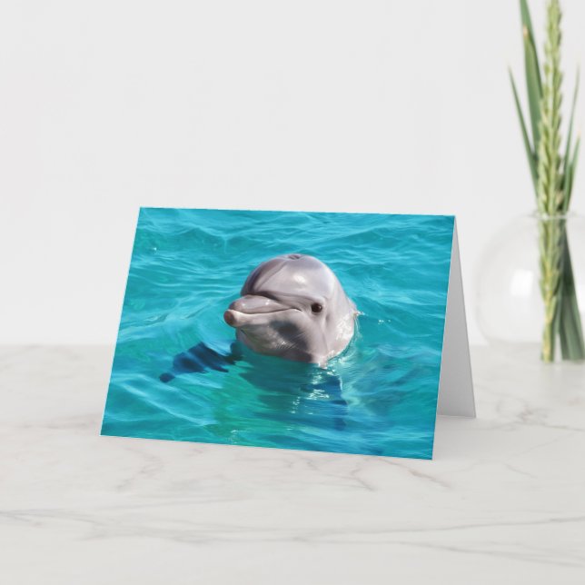 Dolphin in Blue Water Photo Card (Front)