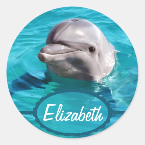 Dolphin in Blue Water Photo Classic Round Sticker
