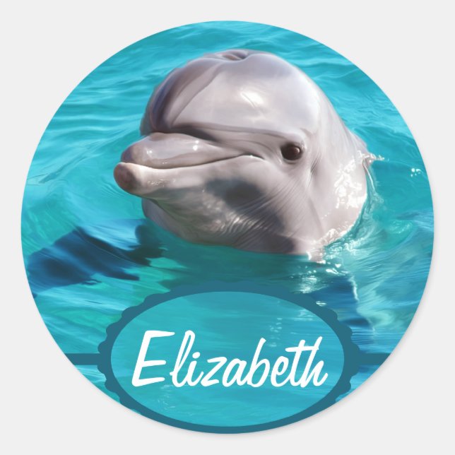 Dolphin in Blue Water Photo Classic Round Sticker (Front)