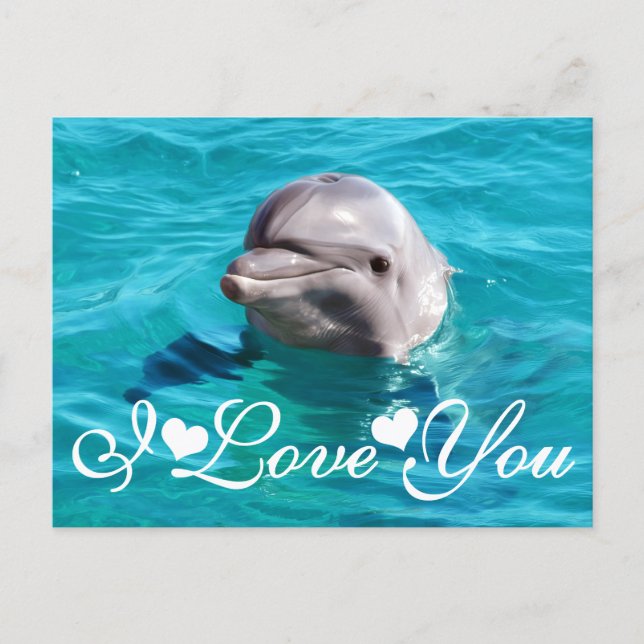 Dolphin in Blue Water Photo Image I Love You Postcard (Front)