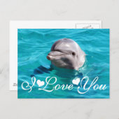 Dolphin in Blue Water Photo Image I Love You Postcard (Front/Back)