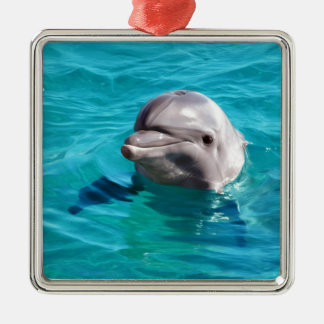 Dolphin in Blue Water Photo Metal Ornament