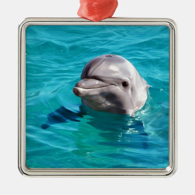Dolphin in Blue Water Photo Metal Ornament (Front)