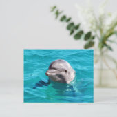 Dolphin in Blue Water Photo Postcard (Standing Front)
