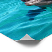 Dolphin in Blue Water Photo Poster (Corner)