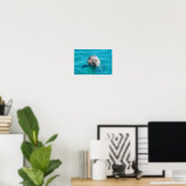 Dolphin in Blue Water Photo Poster (Home Office)