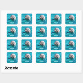 Dolphin in Blue Water Photo Square Sticker (Sheet)