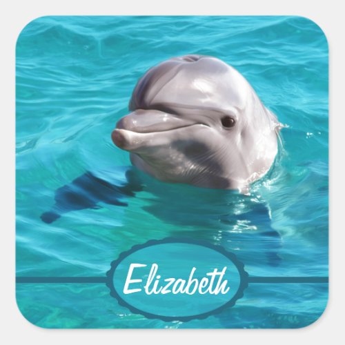 Dolphin in Blue Water Photo Square Sticker
