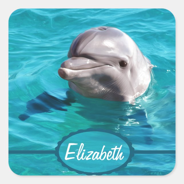 Dolphin in Blue Water Photo Square Sticker (Front)