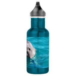 Dolphin in Blue Water Photo Stainless Steel Water Bottle | Zazzle