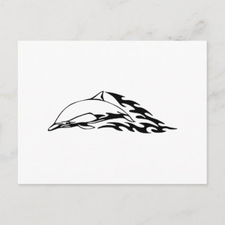 Dolphin in Flames Postcard