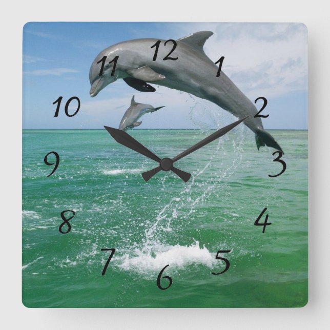 Dolphin in the wild jumping and playing square wall clock (Front)