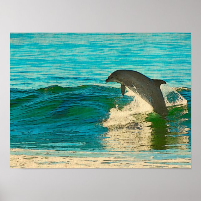 Dolphin is My Spirit Animal Poster (Front)