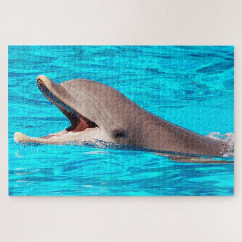 Dolphin Jigsaw Puzzle